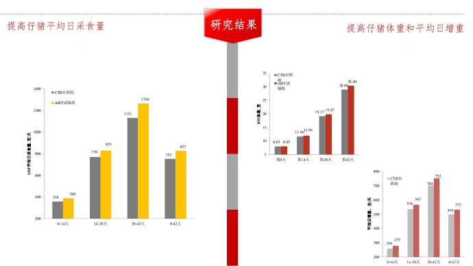 ��ϵ����